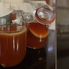 Culture-building: Fermentation and Social Transformation