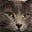 Jenny's avatar