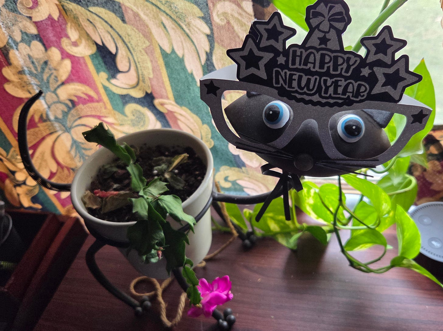 A Christmas cactus in a cat planter wearing cardboard glasses that say, "Happy New Year" A Christmas cactus in a cat planter wearing cardboard glasses that say, "Happy New Year"