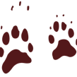 The Badger Track