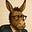Daniel Liberson's avatar