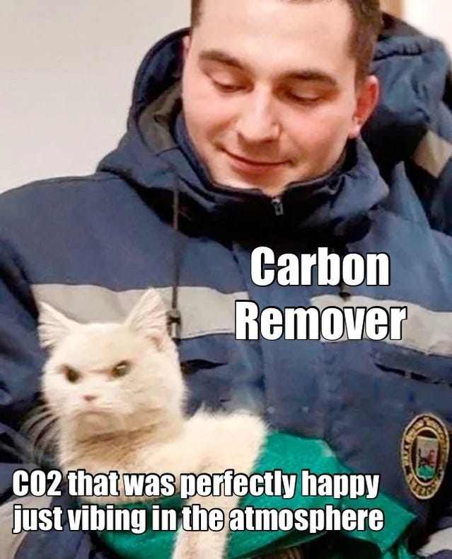A smiling man in a winter jacket holds an angry-looking white cat. He is labelled "Carbon remover"; the cat is "CO2 that was perfectly happy just vibing in the atmosphere".