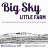 Big Sky Little Farm (my backyard escape)