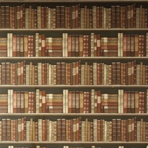 Bookcase wallpaper from http://www.housetohome.co.uk/product-idea/picture/next-autumn-winter-2012-trends-10-of-the-best/8