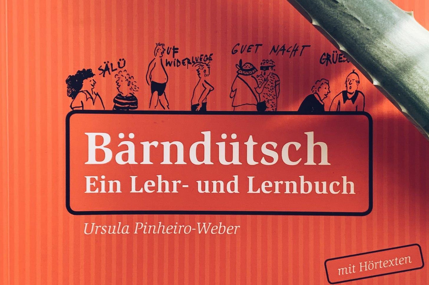Is it time to take a Swiss German course?