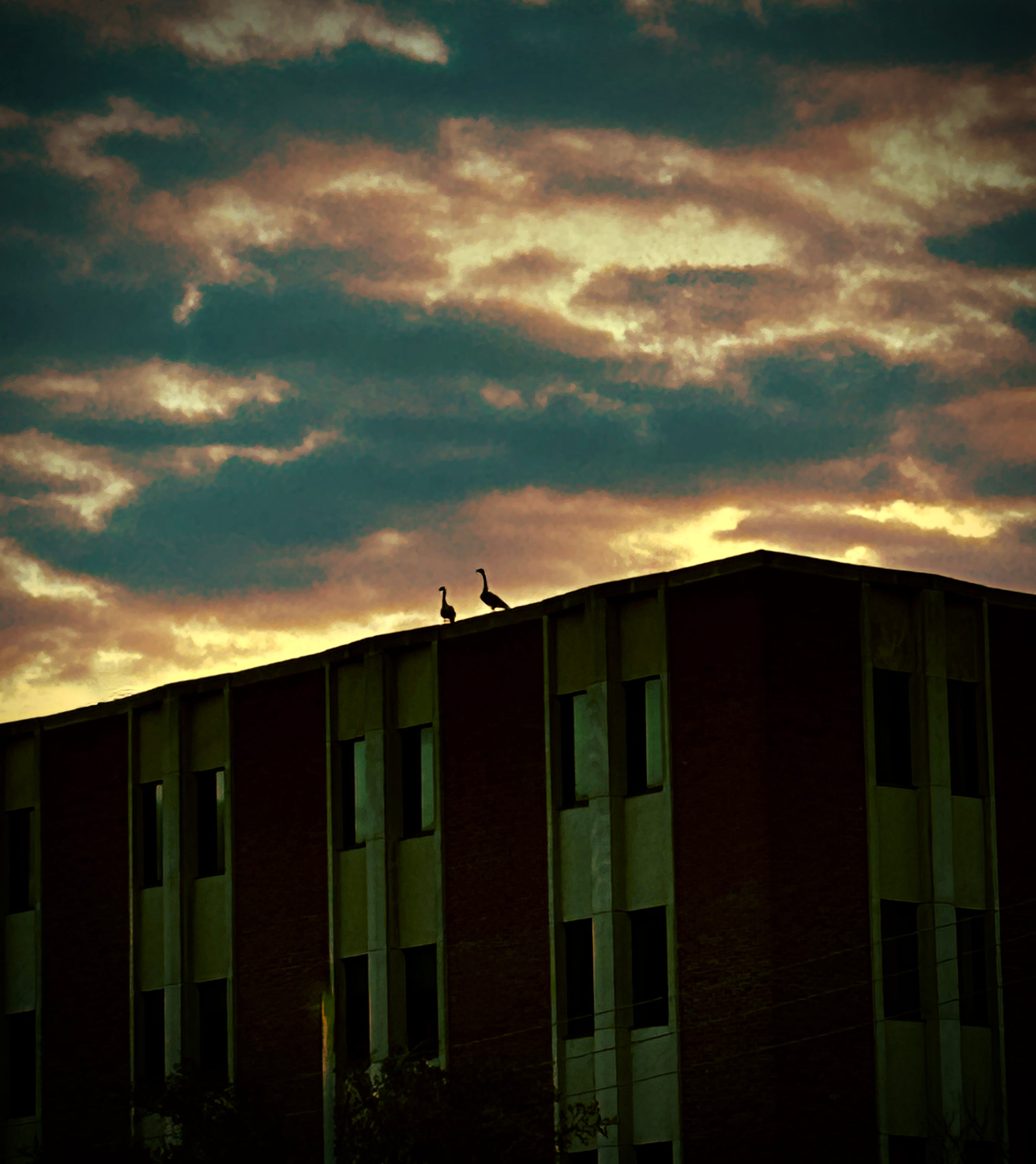 Sunrises, Sunsets - by Ray Grasse - Ray’s Substack