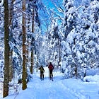 Skiing the Jackrabbit Trail in the Adirondacks: tracking the legendary Jackrabbit Johannsen