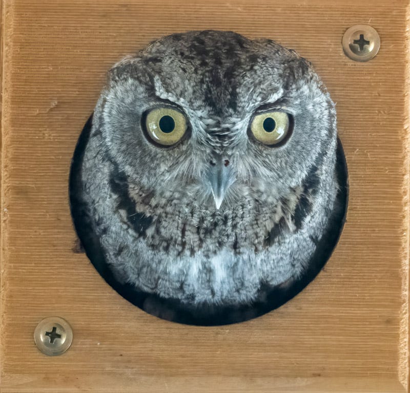 20250522-mby-Edit.jpg 20250522-mby-Edit.jpg