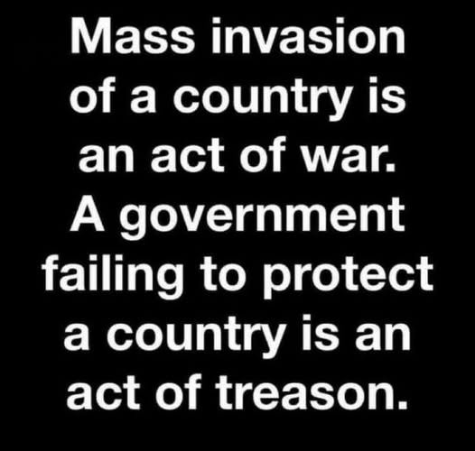 May be an image of map and text that says 'Mass invasion of a country is an act of war. A government failing to protect a country is an act of treason.'