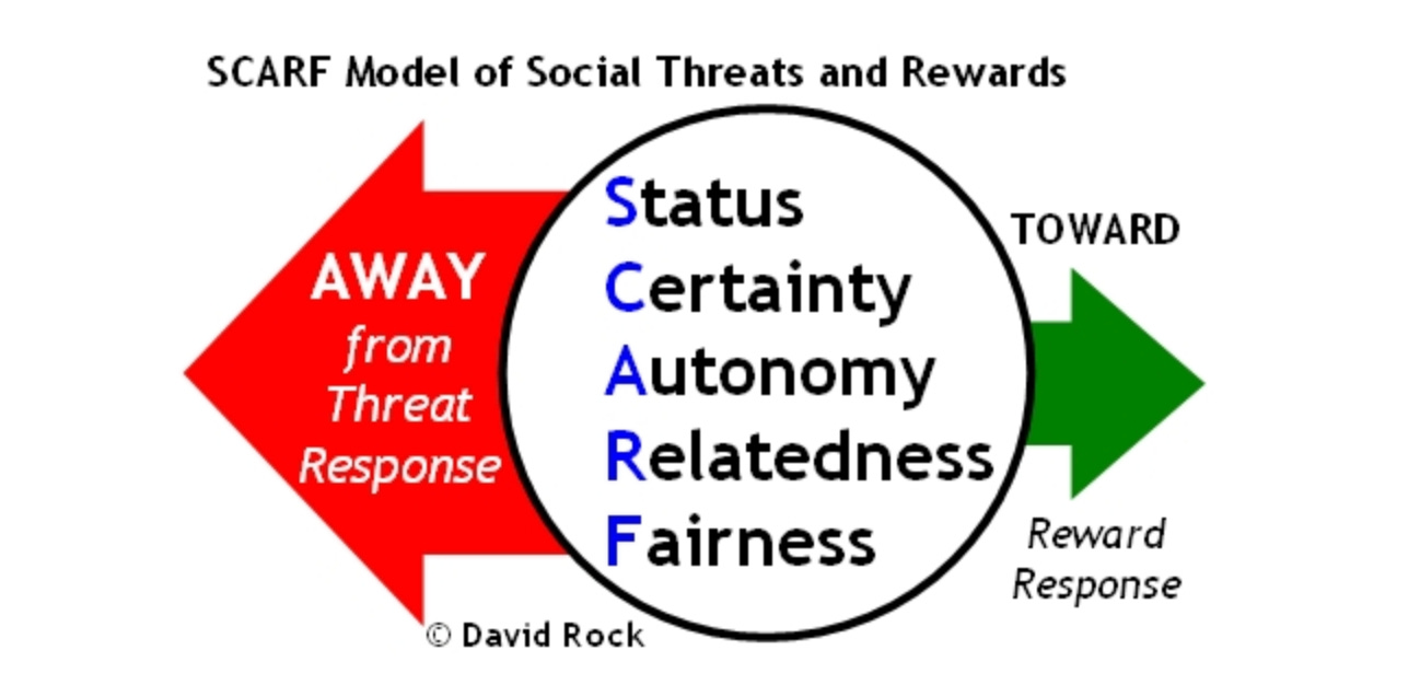 A visual of the SCARF Model by Dr David Rock. SCARF addresses how people experience social threats and rewards related to: Status, Certainty, Autonomy, Relatedness, and Fairness.