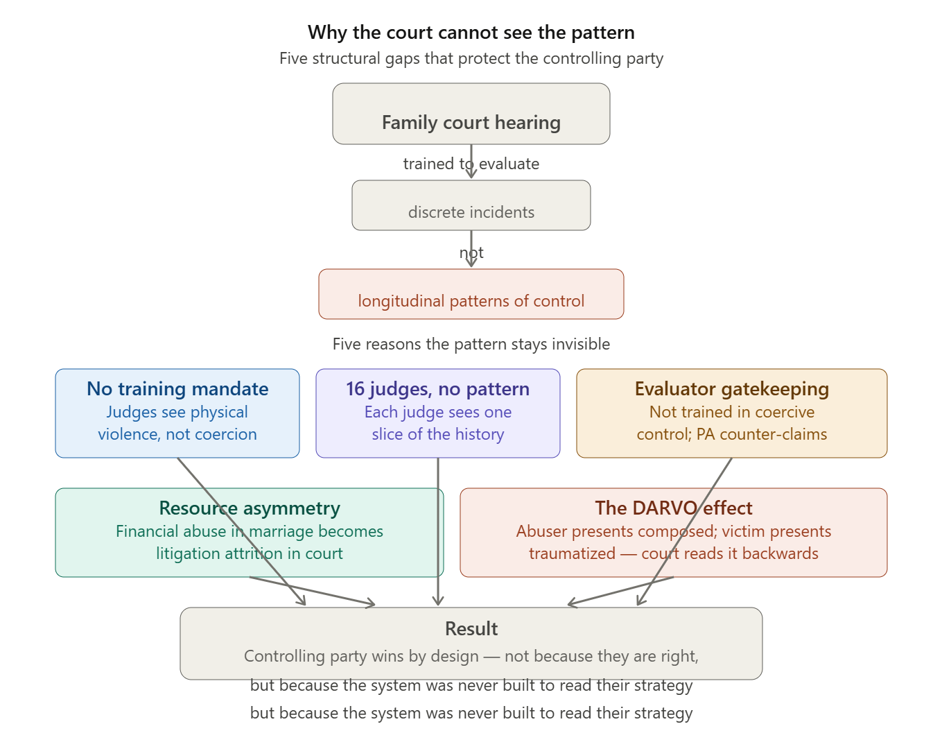 Infographic illustrating five structural gaps in family court hearings that prevent recognition of patterns of control, including lack of training for judges and evaluators, resource asymmetry, and the DARVO effect.