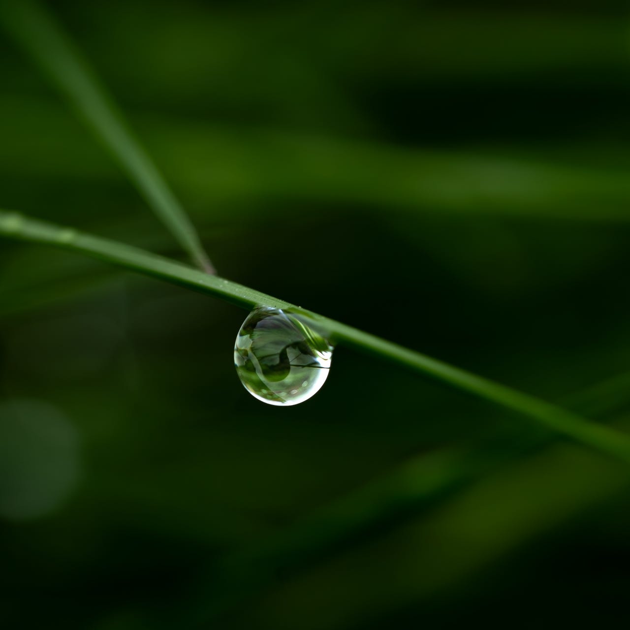 Field Notes From Earth