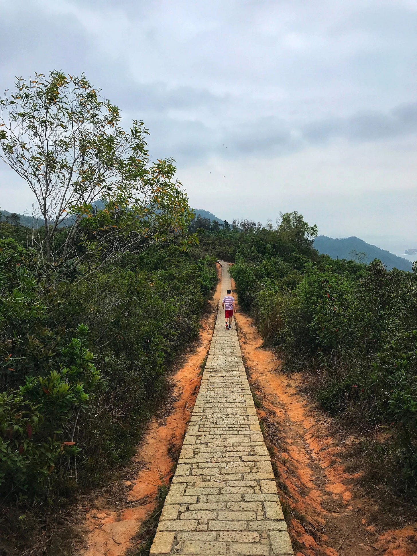  The Trail at Tsing Yi Nature Trails 