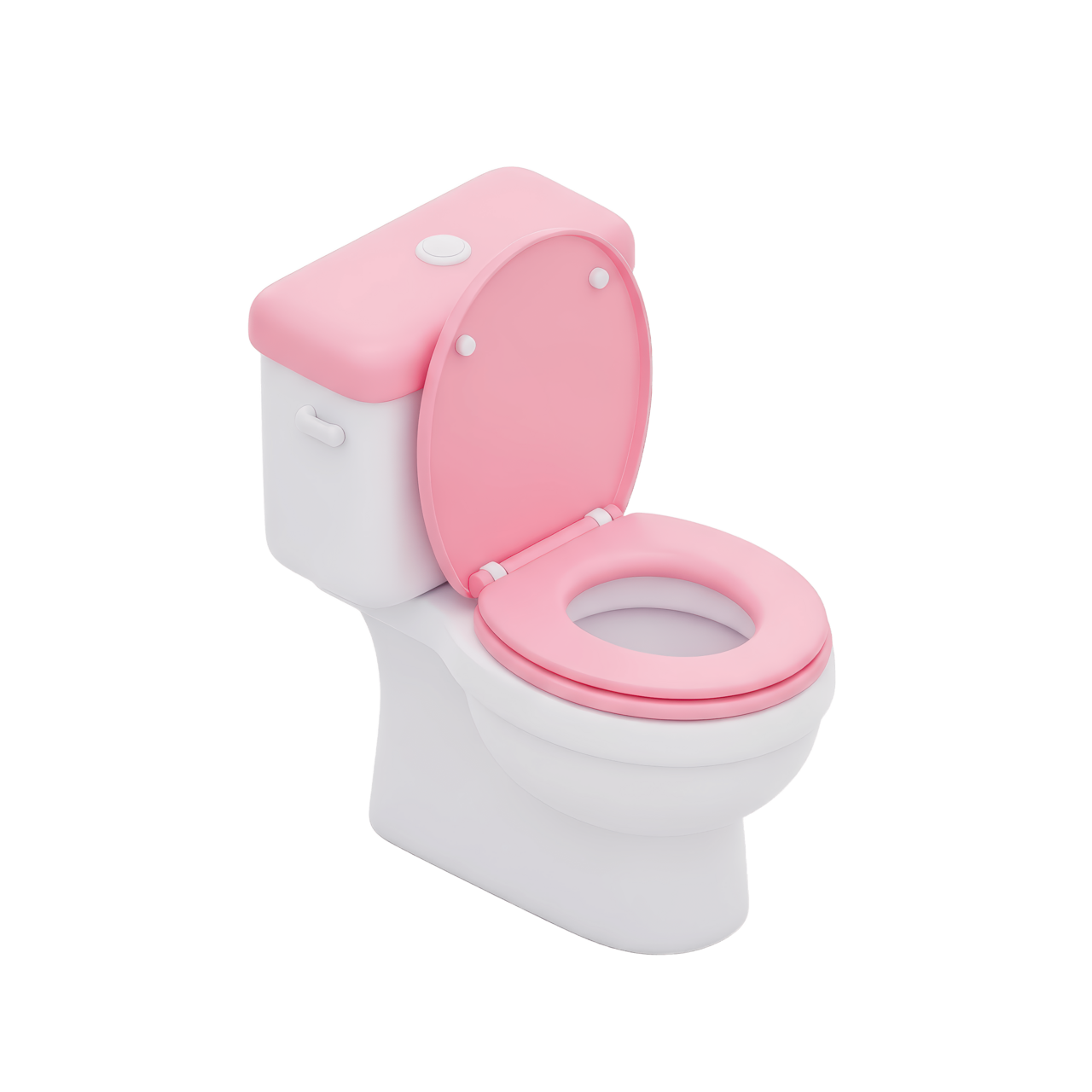 Clare's Internet Toilet logo