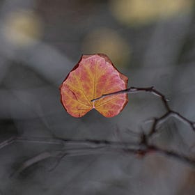 Inversions: Love