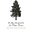 Porchlight & Pine Trees's avatar