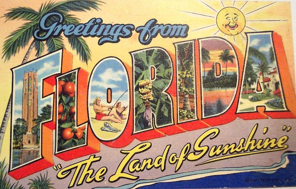 vintage 'Greetings from Florida' postcard vintage 'Greetings from Florida' postcard