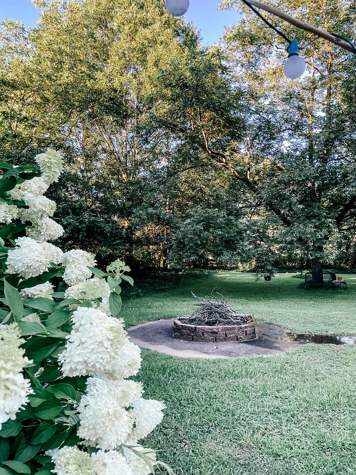 Tessa Pinner's garden