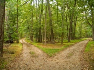 RoadNotTaken RoadNotTaken