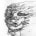 Aella's avatar