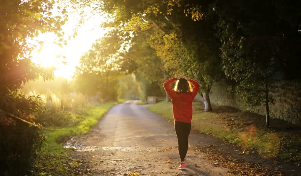 Why UVB&mdash;the Rare Slice of Sunlight That Programs Human Biology&mdash;May Be the Root Cause You&rsquo;ve Never Considered