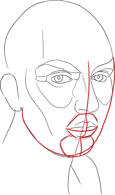 The Human Head part 1: preliminaries