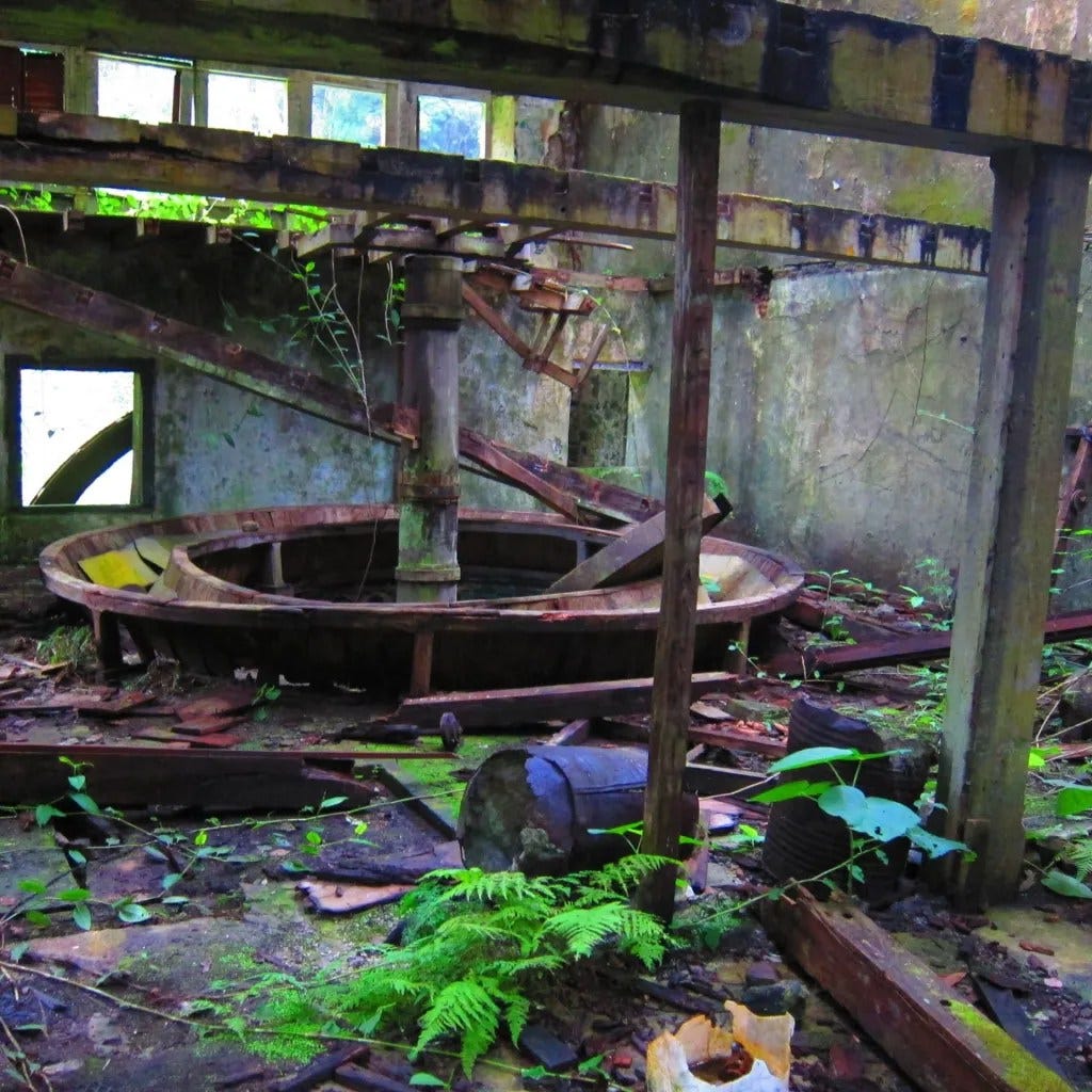 Clydesdale National Forest Park is nestled in the hills of the Blue Mountain range, making it a serene and beautiful escape from the hustle and bustle of everyday life. 