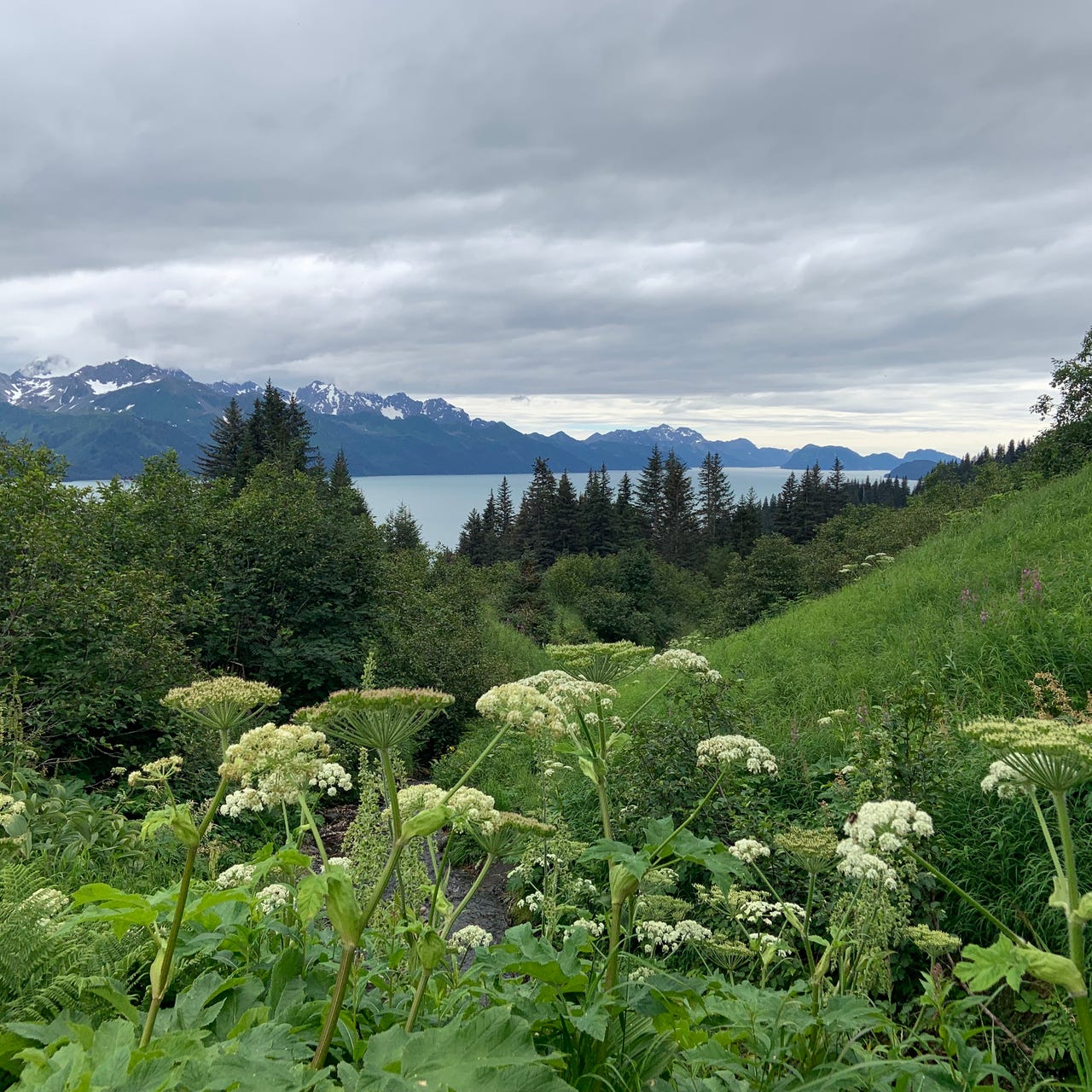 A Wind to Shake the Stars