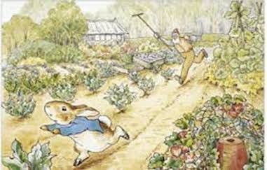 Peter Rabbit being chased by Mr. McGregor