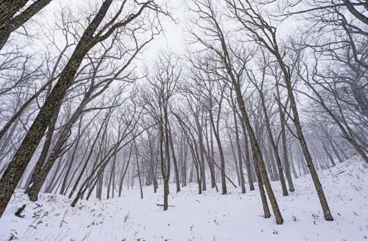 Scientists issue warning over powerful phenomenon that could reshape US landscape: 'It touches our lives in so many ways'