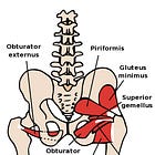 You Don't Have Piriformis Syndrome