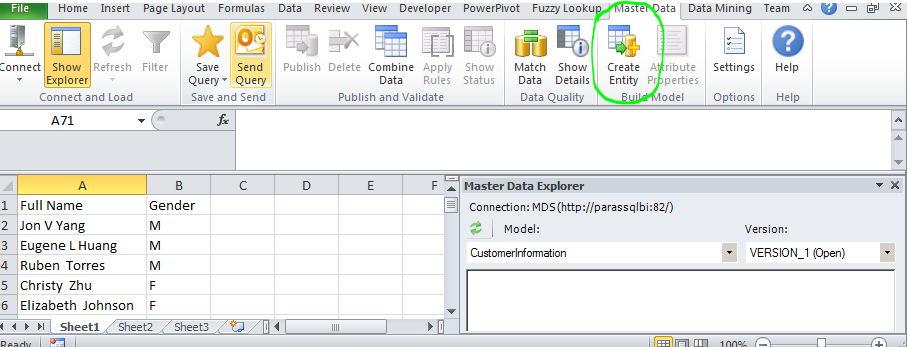 create entity Master Data Services Excel create entity Master Data Services Excel