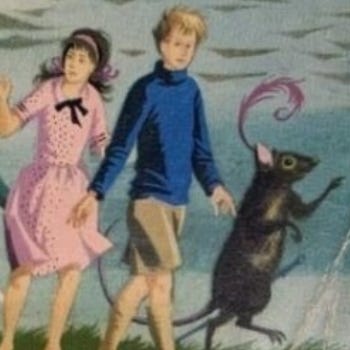 A daily walk through Narnia