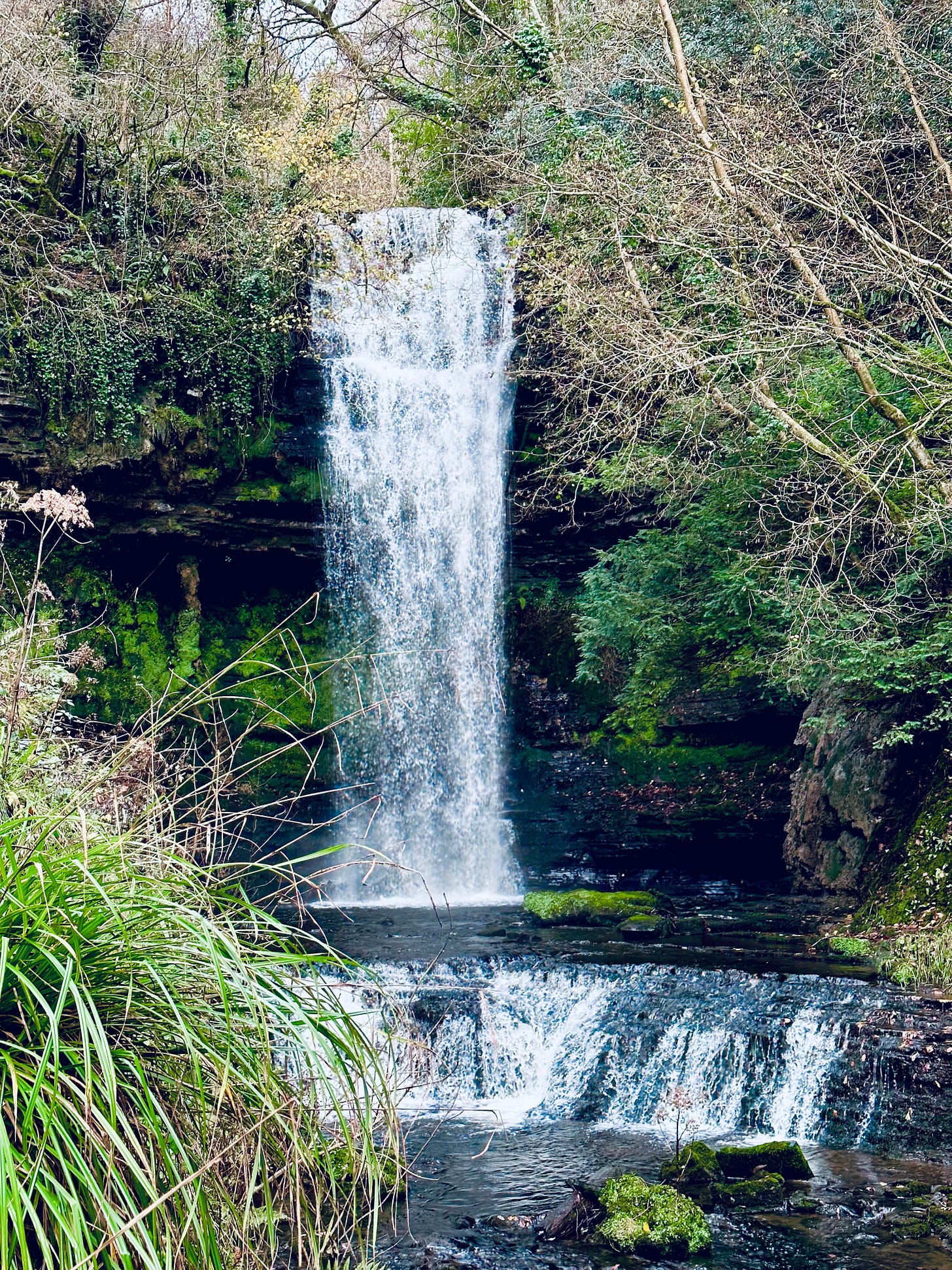 Photo of a 30 foot waterfall with cascades and a stream below it. Behind the waterfall is stone covered in bright green moss. Green vines and non-descript green plants, vines and mosses and trees without leaves surround the waterfall, cascades and stream. There is no sky in the photo but it is a grey day.