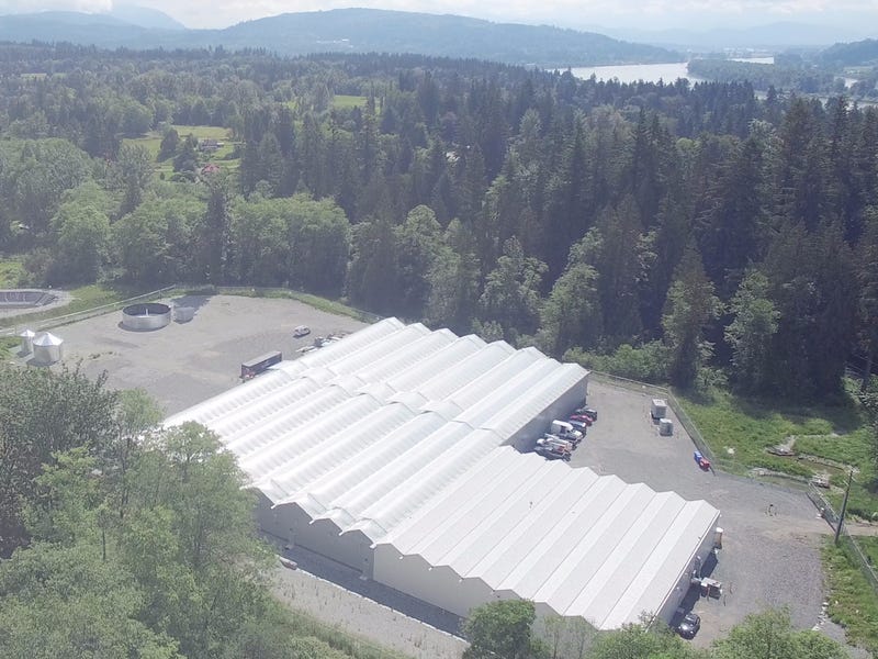 Photos of Tantalus Labs, Where the 'Tesla of Cannabis' Grows Dank Weed -  Business Insider