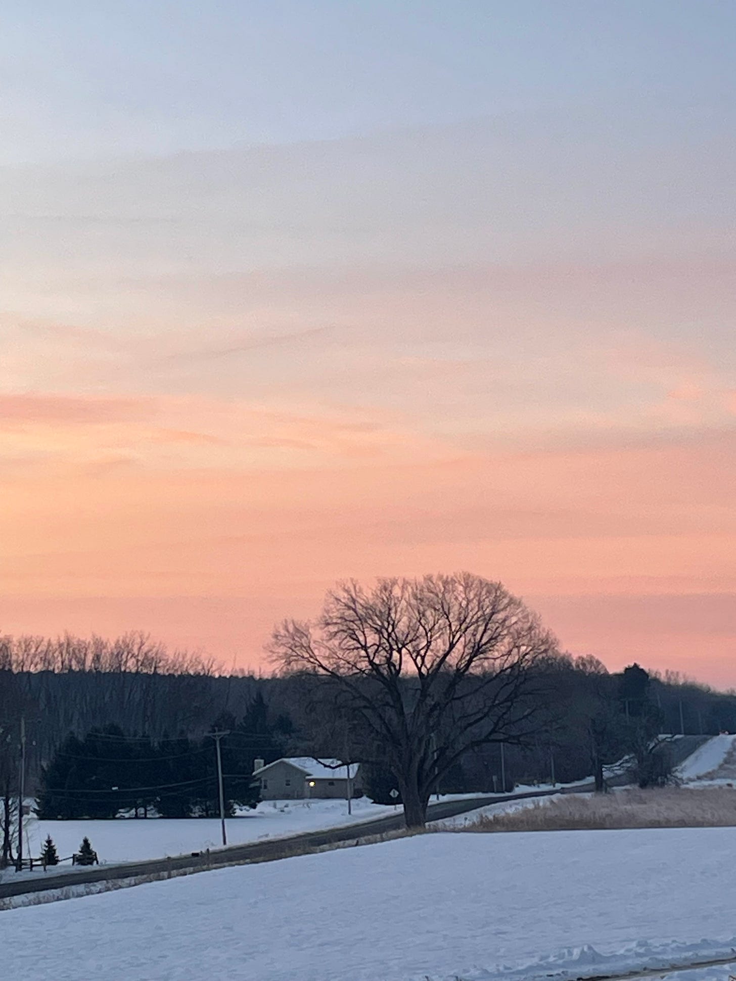 A large bare tree silhouetted against a pink and lavender winter sunset, with snow-covered fields in the foreground, a small house with a single lit window, and a dark tree line along the horizon.