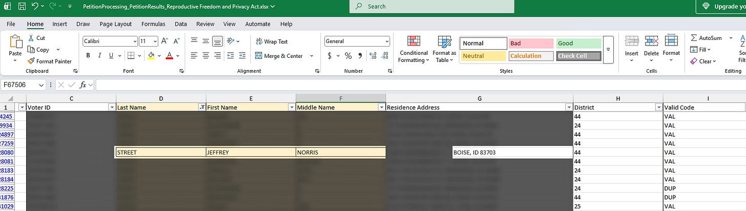 Screenshot of a CSV file opened in Microsoft Excel showing Jeffrey Street of Boise, ID as a signer for the abortion initiative.