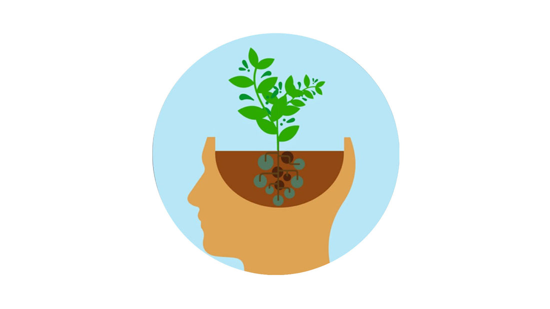 Growth vs. Fixed Mindsets: How They Differ and Why it Matters! – Inner Fokus