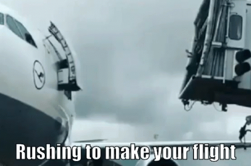 Jump Flight GIF - Jump Flight Jumping GIFs