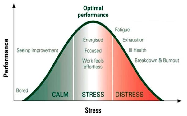 The Yerkes-Dodson Law - The Thinking Wave