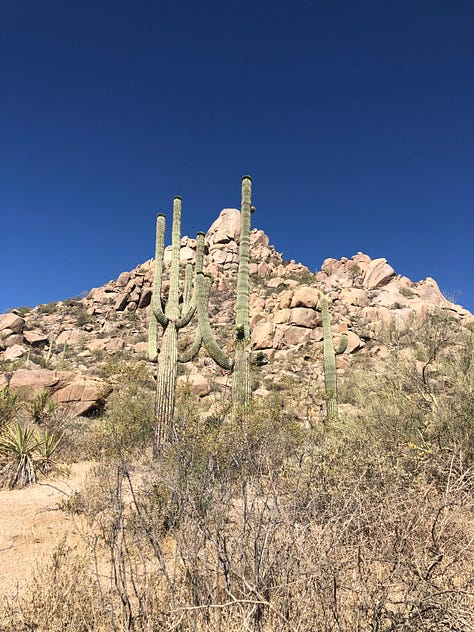 Cacti against blue sky, blonde woman in pink shirt, calm sunny lobby, and a sign that reads, "Take a long, slow, deep breath."