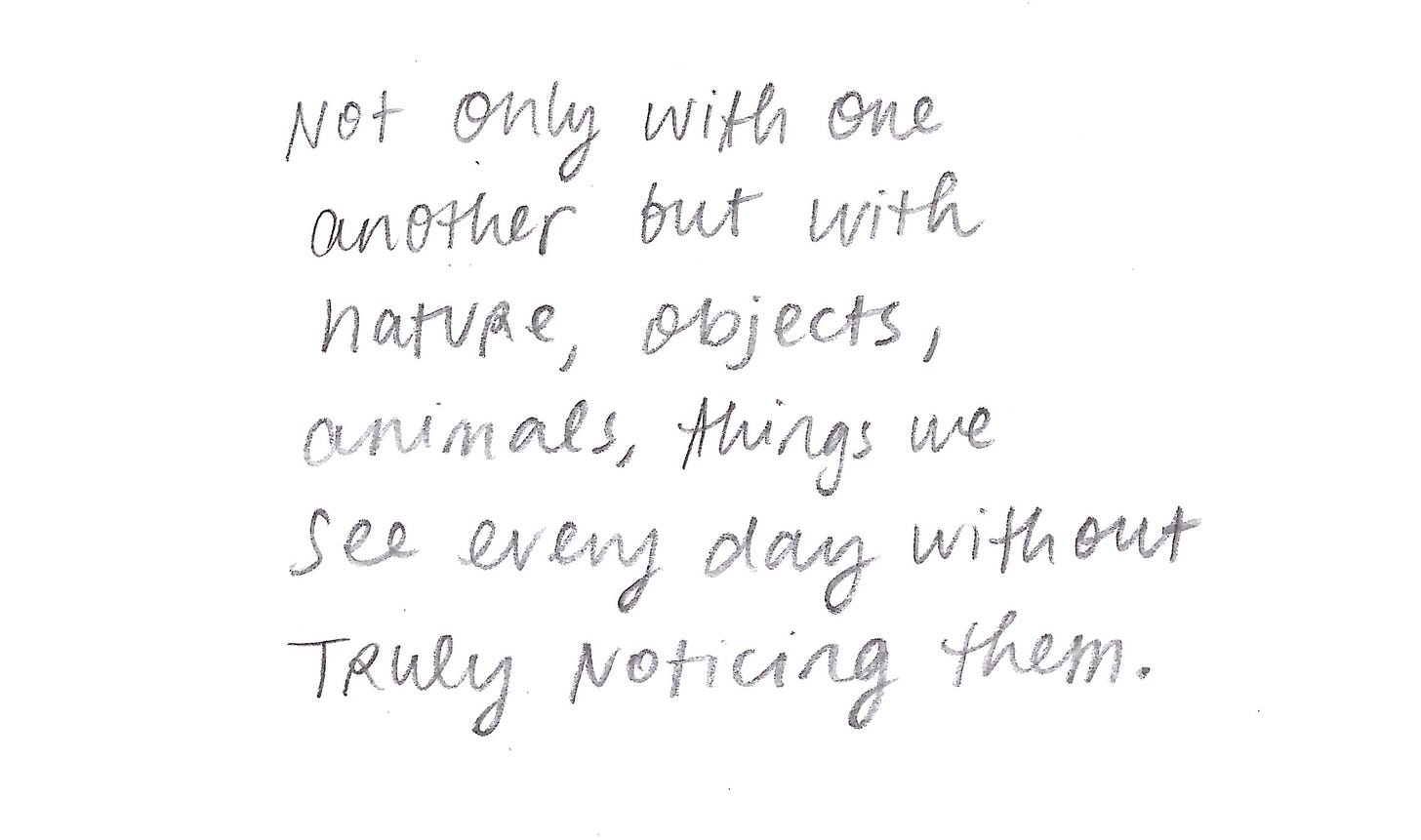 Not only with one another but with nature, objects, animals, things we see every day without truly noticing them. 