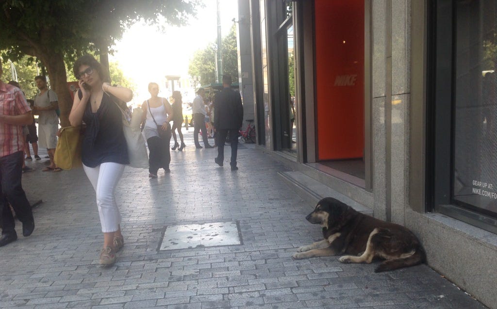 Is anyone else seeing this? Is anyone else seeing this?