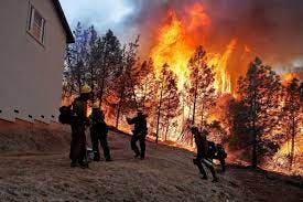 Group of photos displaying firefighters and damage caused by the 2008 Palm Bay Mothers Day fires.