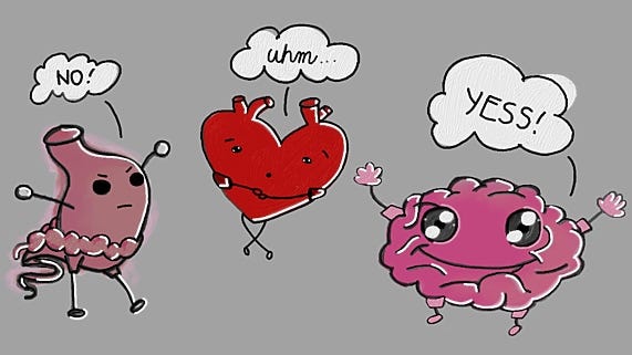 How to Make Decisions: The Heart Vs. The Mind Vs. The Gut