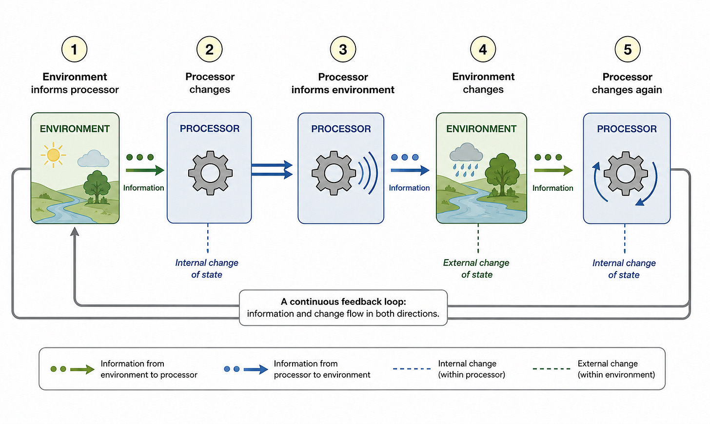 Textbook-style diagram showing a five-stage environmental feedback loop: Environment informs processor → processor changes → processor informs environment → environment changes → processor changes again. Green arrows represent information flowing from the environment to the processor, while blue arrows represent information flowing from the processor back to the environment. Gear icons represent the processor, and landscape scenes represent the environment. The loop indicates that internal and external changes continually influence one another, creating an ongoing cycle of information exchange and change.