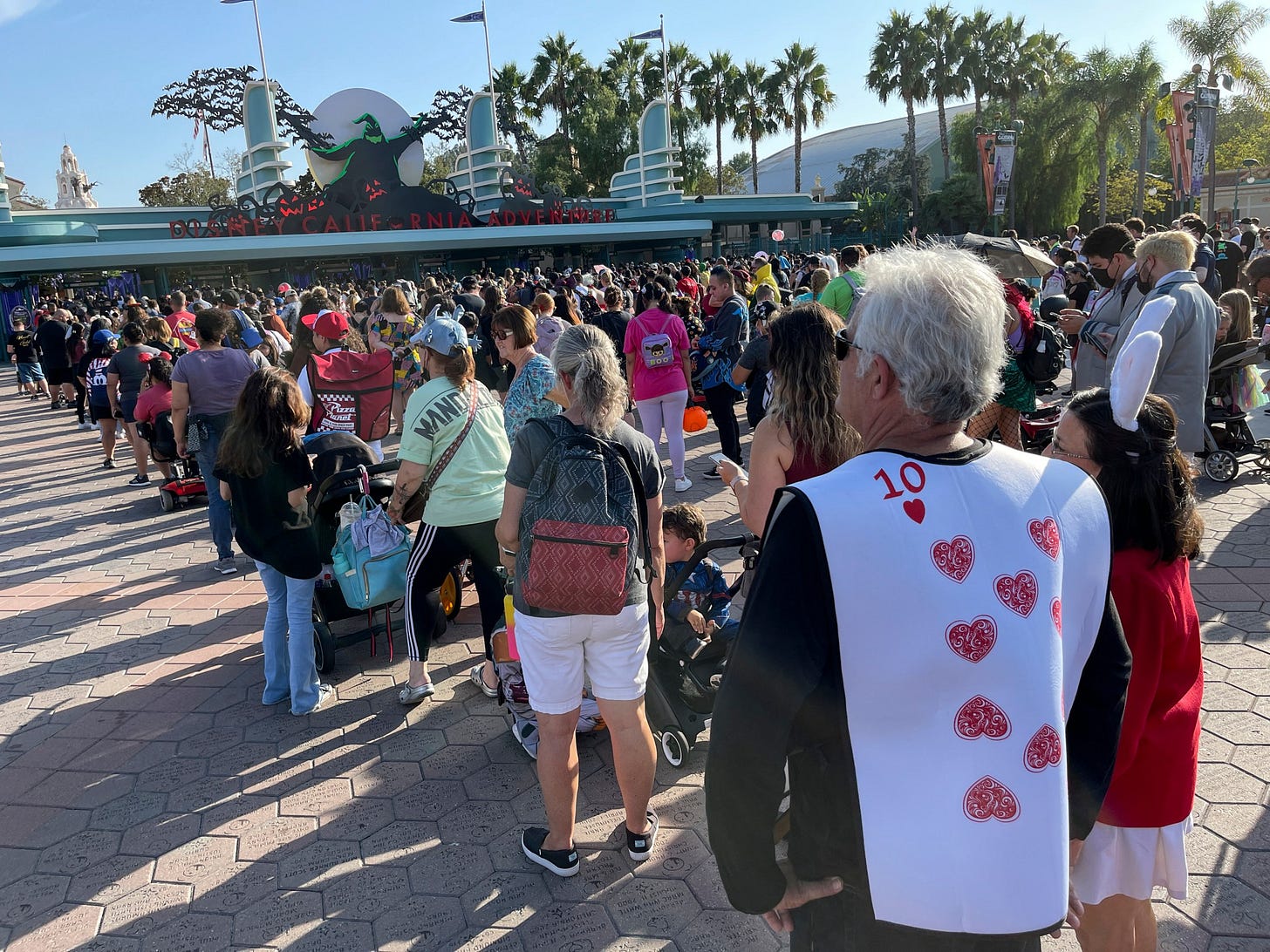 Disney’s California Adventure line
