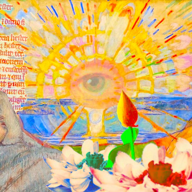 The September Sunbloom