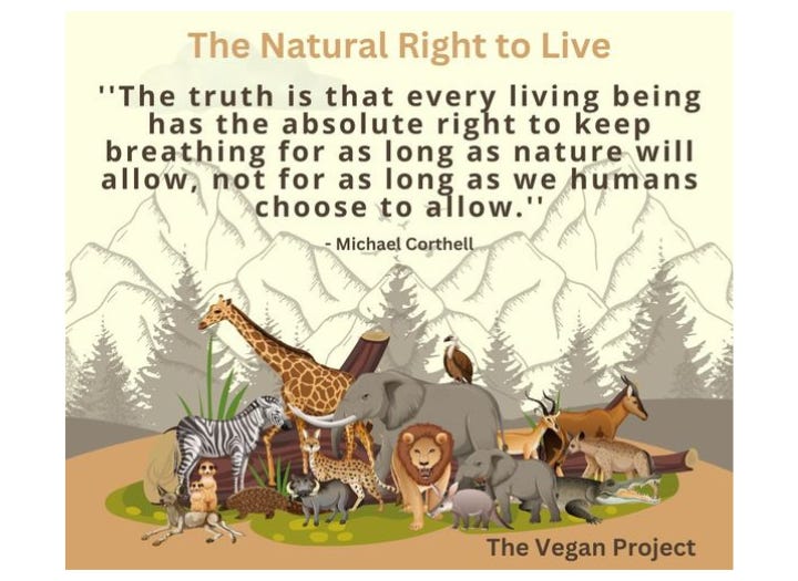 All animals have the natural right to live because they are sentient beings capable of experiencing pain, joy, and a desire to continue living. Their lives have intrinsic value, independent of human use or convenience. All animals have the natural right to live because they are sentient beings capable of experiencing pain, joy, and a desire to continue living. Their lives have intrinsic value, independent of human use or convenience.