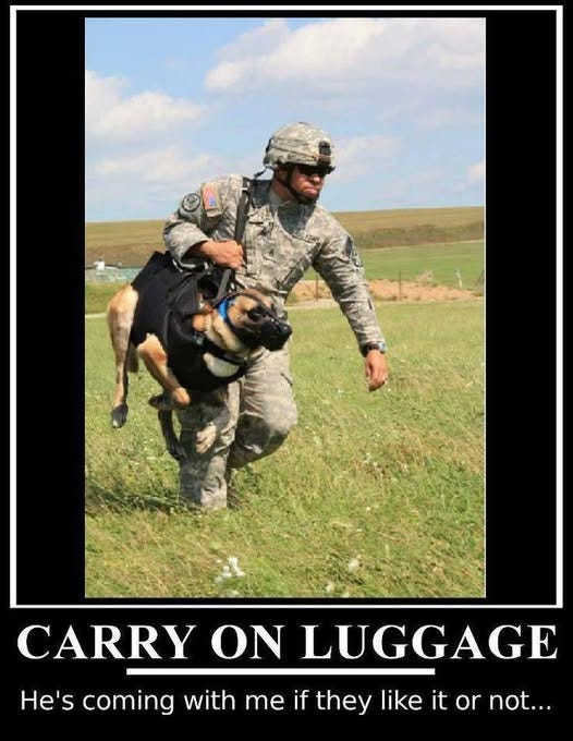 No photo description available.